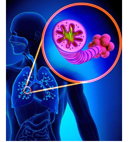 研究发现COPD和肺纤维化的基因共享网络
