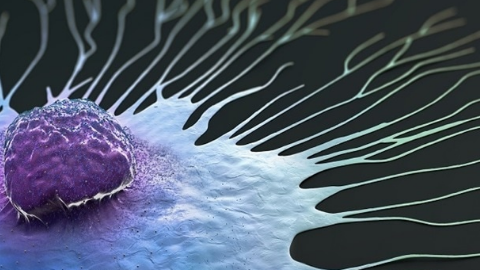 基因可以预测某些乳腺癌患者的治疗反应
