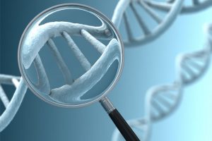 大约8%的人类基因组来自曾经困扰我们远古祖先的病原体