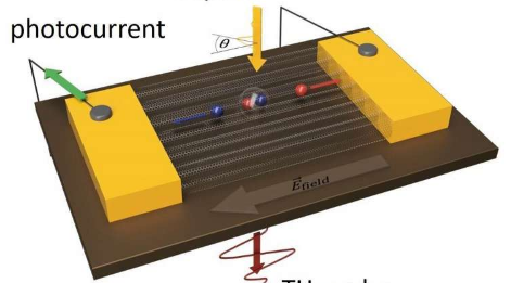 太赫兹科学揭示了碳纳米管中超快的光载流子动力学