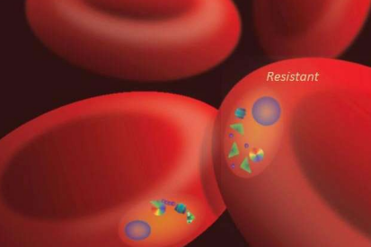 研究人员确定了使疟原虫具有耐药性的分子机制