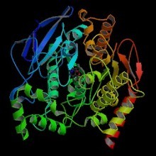 揭开隐藏的蛋白质结构
