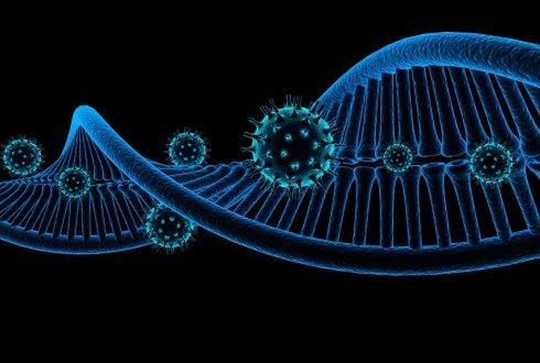 科学家已经破译了病毒基因组如何在病毒衣壳内浓缩