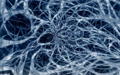 研究人员发现了一组特殊的神经细胞的功能