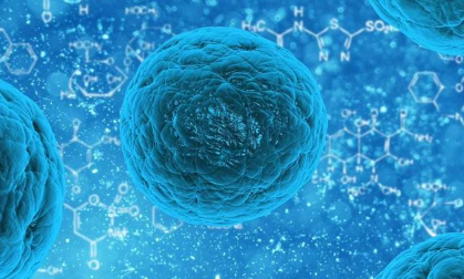 科学家设计一种蛋白质来对抗癌症和再生神经元