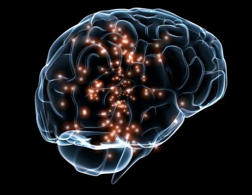 大脑皮层的部分比思维过程的触觉刺激大