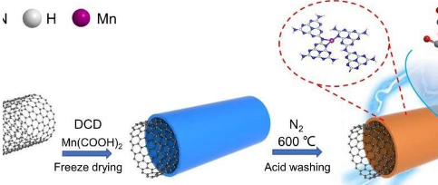 锰单原子催化剂提高电化学二氧化碳还原性能
