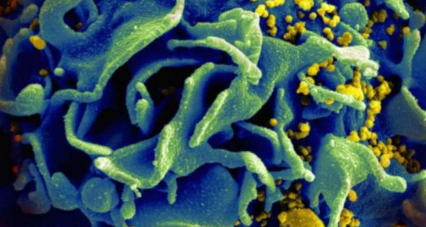 诱饵纳米颗粒可以阻止艾滋病毒并预防感染
