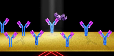 技术允许对单个蛋白质进行方便 精确的光学成像