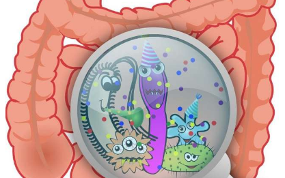 微生物菌株的个体镶嵌从母体转移到婴儿肠道