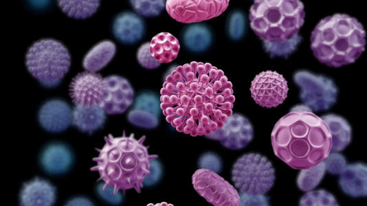 研究人员发现了鲜为人知的免疫细胞的癌症杀伤能力
