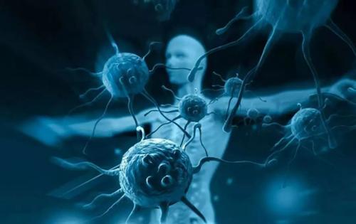 人类免疫系统的小鼠模型不适合干细胞研究