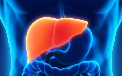 新的见解可能会导致肝脏疾病的新疗法