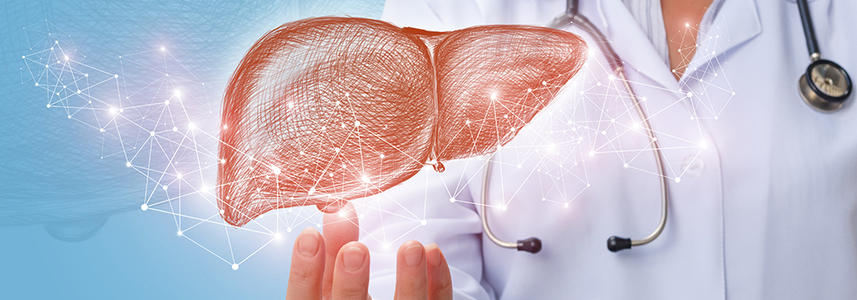 新研究强调了活体肝脏移植对死者捐献者的优势