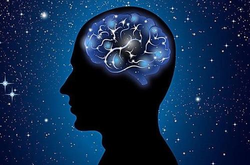 大脑通往想象的途径可能是利他行为的关键