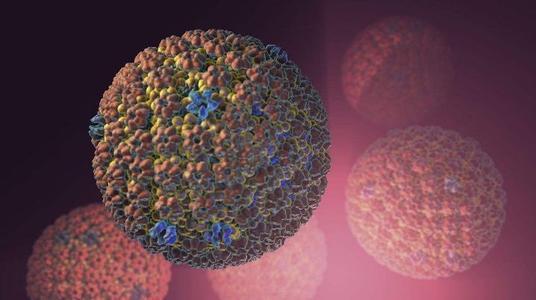 研究人员发现了一种治疗人类疱疹病毒的新方法