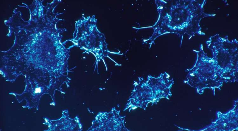 科学家设计出新的癌症免疫疗法来训练抗癌免疫系统