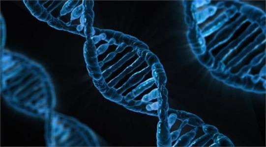 出生时的基因变异揭示了炎症和免疫疾病的起源