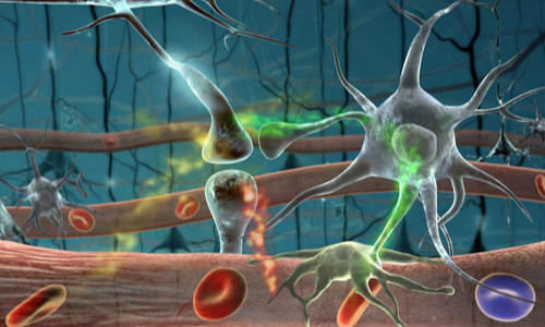 神经退行性疾病的特征是DNA三联体重复序列的扩增