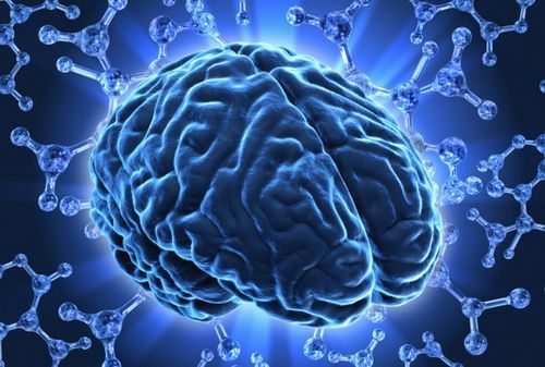 新研究确定大脑如何跨时间连接记忆