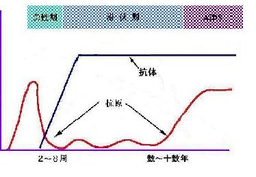 介绍下影响抗原抗体反应的因素有什么