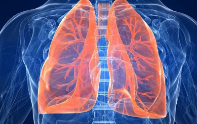 用天然人类蛋白质阻止流感造成的致命肺损伤