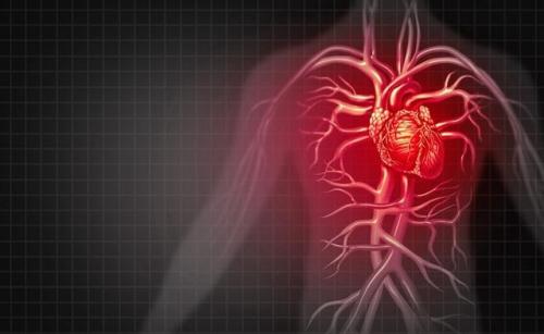研究人员揭示了流行的药物如何有助于心力衰竭