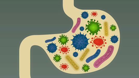研究发现肠细菌与我们的个性有关
