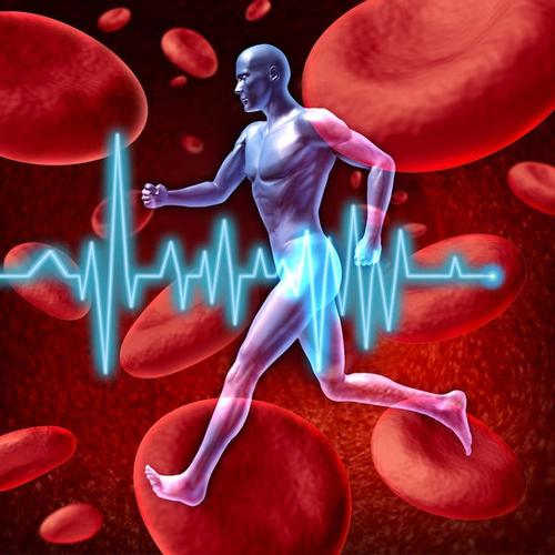 糖尿病药物研究探讨了肾脏疾病患者的心血管风险