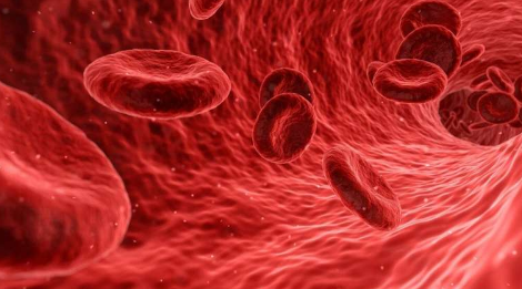 验血能比预期更好地预测卵巢癌