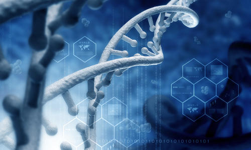 免疫交流中的质量控制分子 用来检测未成熟的信号分子