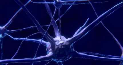 获得和保持动力的神经科学