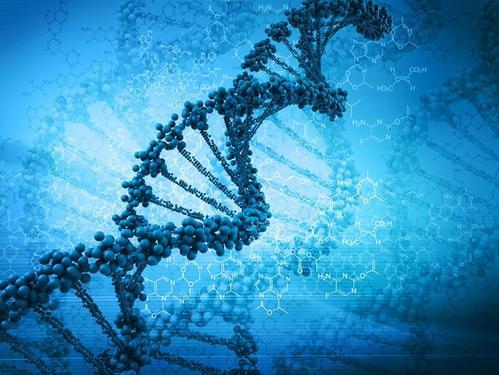 DNA的简单扭曲可以决定胎盘的命运