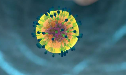 研究人员发现免疫细胞激活的新机制