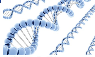 机器学习算法有助于整理大量数据以进行蛋白质研究