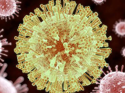 寨卡病毒的新研究对有什么影响