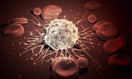 耶鲁大学的科学家帮助免疫系统发现隐藏的癌细胞