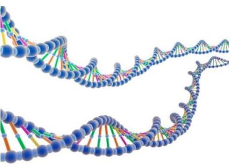 新数据库增强了基因组学研究合作