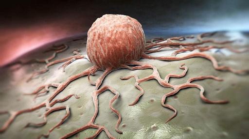 肿瘤将肠道脑细胞转变为肿瘤生长促进剂