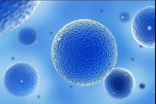 细胞信号传导的突破为研究开辟了新途径