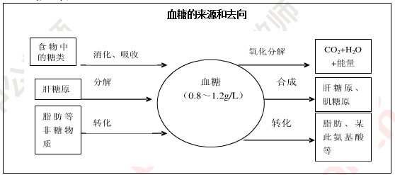 介绍下血糖的来源与去路分别是什么