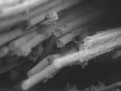 伯明翰大学的研究人员已经开发出一种新的热塑性生物材料