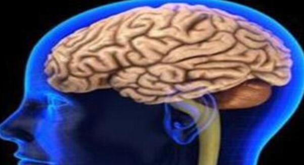 脑损伤后如何保持记忆功能