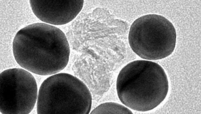 大小决定了纳米颗粒如何影响生物膜