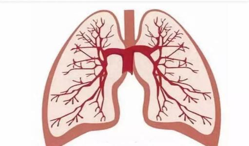 了解囊性纤维化患者的肺部感染