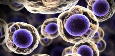 细胞信号研究对正在出现的癌症药物靶标发出警告