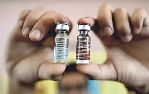 SMART找到新的安全方法来加强登革热疫苗接种