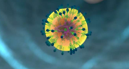 科学家发现细胞防御病毒和细菌感染的新机制