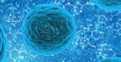 模拟病毒的药物可帮助免疫系统靶向狡猾的癌细胞