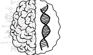 遗传变异如何引起数学能力差异